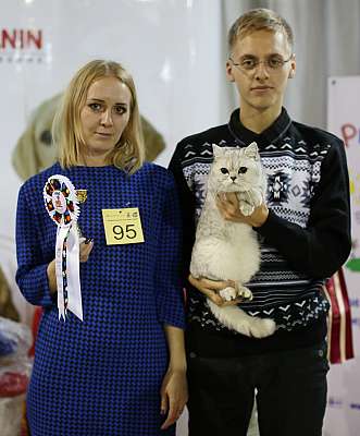   22-23  2014,     22-23  2014    169A8392 copy.jpg